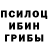 Псилоцибиновые грибы мухоморы Wanita Savinkoff