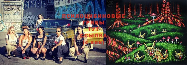 таблы Абинск