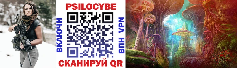 Псилоцибиновые грибы Psilocybe Шумерля